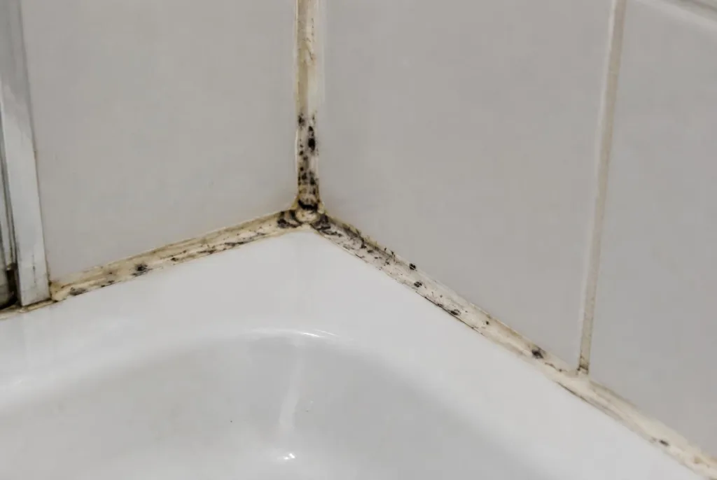 Kitbedrijf Beverwijk – beschimmelde kitranden